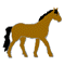 Paarden Plaatjes Wandelend Paard