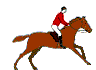 Paarden Plaatjes 