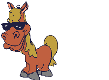 Paarden Plaatjes 