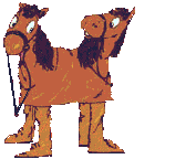 Paarden Plaatjes 