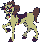 Paarden Plaatjes 