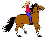 Paarden Plaatjes 