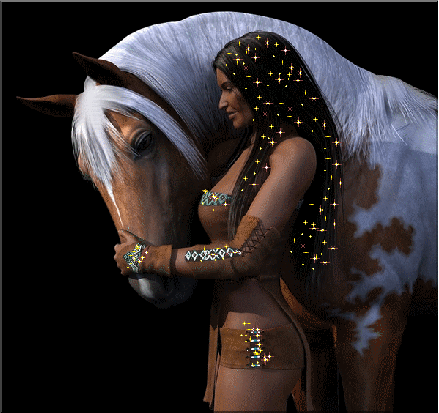 Paarden plaatjes