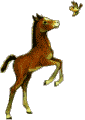 animaatjes-paarden-1021290.gif
