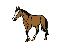 Paarden Plaatjes 