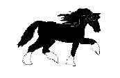 Paarden Plaatjes 