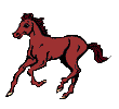 Paarden Plaatjes 
