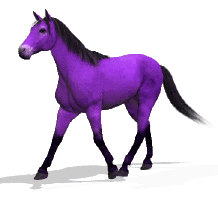 Paarden Plaatjes 