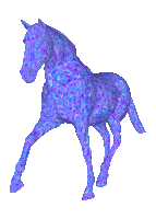 Paarden Plaatjes 