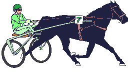 Paarden Plaatjes Paard Trekt Kar
