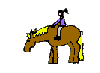 Paarden Plaatjes 