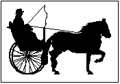 Paarden Plaatjes 