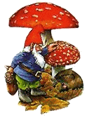 Paddestoelen Plaatjes 