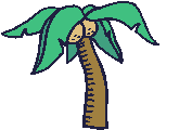 Plaatjes Palmbomen 