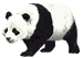 Panda Plaatjes 