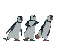 Pinguins Plaatjes 