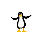 Pinguins Plaatjes 