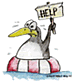 Pinguins Plaatjes Pinquin In Nood Help