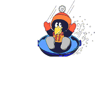 Pinguins Plaatjes 