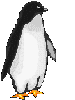 Pinguins Plaatjes 