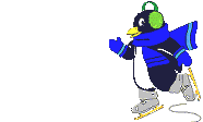 Pinguins Plaatjes 