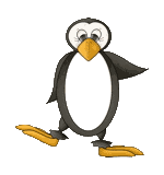 Pinguins Plaatjes 