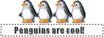 Pinguins Plaatjes Coole Pinguins