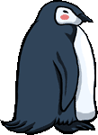 Pinguins Plaatjes Blauwe Pinguin