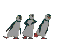 Pinguins Plaatjes 