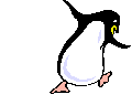 Pinguins Plaatjes 
