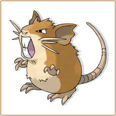 Pokemon Plaatjes Raticate