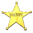 Plaatjes Politie Amerikaanse Politie Penning Sheriff