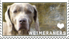 Plaatjes Postzegels honden 