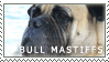 Plaatjes Postzegels honden 