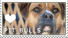 Plaatjes Postzegels honden 