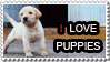 Plaatjes Postzegels honden 