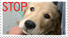 Plaatjes Postzegels honden 