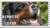 Plaatjes Postzegels honden 