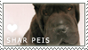 Plaatjes Postzegels honden 