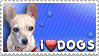 Plaatjes Postzegels honden 