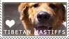 Plaatjes Postzegels honden 