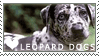 Plaatjes Postzegels honden 