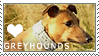 Plaatjes Postzegels honden 