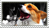 Plaatjes Postzegels honden 