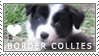 Plaatjes Postzegels honden 
