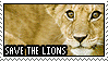 Plaatjes Postzegels leeuw 