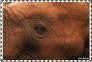 Plaatjes Postzegels olifant 