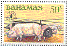 Plaatjes Postzegels 