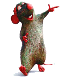 Ratatouille Plaatjes 