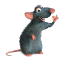 Ratatouille Plaatjes 